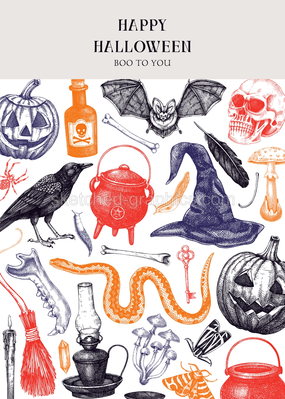 Halloween invitation design template. Skull, bones, Halloween pumpkin, poisonous mushrooms, snakes, raven sketches. Hand drawn vector illustration. Witchcraft shop flyer, greeting card, book cover,  Illustration